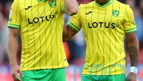 Teemu Pukki&rsquo;s tame penalty means Norwich have to settle for a point