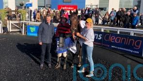 Rebel with a cause for James Motherway at Limerick
