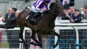 Blackbeard retired to stud after meeting with injury on the gallops