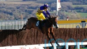 Russell team hoping Carlisle can prove stepping-stone to Newbury for Corach Rambler