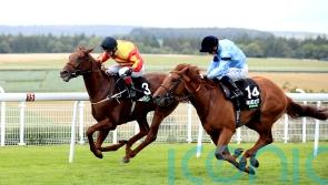 Durston to miss Melbourne Cup