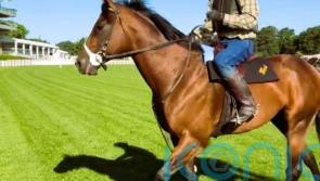 Ward sights set on Breeders&rsquo; Cup hat-trick for Golden Pal