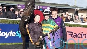 Inthepocket takes the eye in Wexford victory