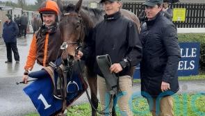 National winner Noble Yeats back in business at Wexford