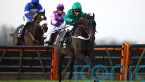 Sceau Royal all set for another Elite Hurdle bid