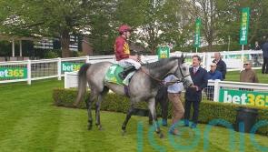 Cash team seeking end-of-season hints at Nottingham