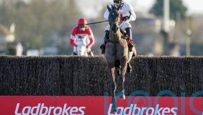 Nube Negra on course for Shloer showdown with Edwardstone