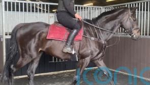 Martin has much to look forward to after Bear Ghylls reappearance