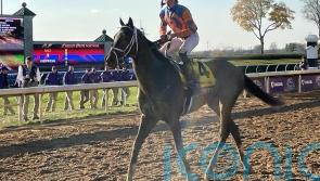 Forte too strong for Breeders&rsquo; Cup Juvenile field