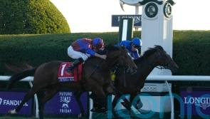 Victoria Road grabs dramatic Juvenile Turf verdict
