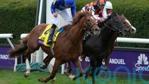 Modern Games too good in Breeders&rsquo; Cup Mile