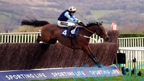 Edwardstone on course for Cheltenham return