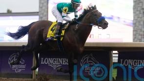 Retirement confirmed for Classic hero Flightline