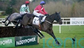Ferny Hollow and Gentleman De Mee set for weekend return