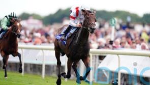 Ferguson has Group One ambitions for Deauville Legend