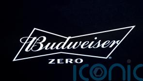 Decision to ban alcohol at World Cup leaves complex legal mess &ndash; leading expert