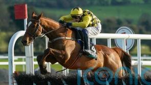 State Man puts his case in Morgiana Hurdle cruise