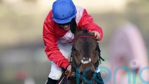 No reason so far for A Plus Tard disappointment &ndash; De Bromhead