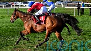 &lsquo;He&rsquo;s in mighty form&rsquo; &ndash; King George the aim for Envoi Allen