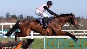 Punchestown possibility for French Dynamite