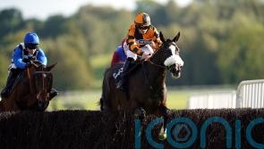 Lord Accord poised to give good account in Coral Gold Cup