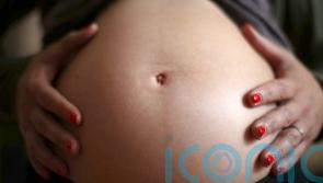 Pregnancy may cause brain changes linked to mother-baby bonding, European study finds