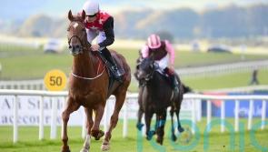 Hanlon has National ambition with new recruit Cape Gentleman