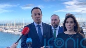 Varadkar: Windfall tax will not curb investment in renewable energies