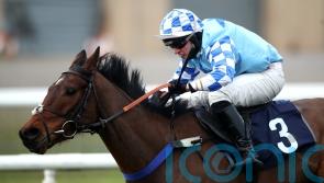 Kent eyeing chase and hurdle options for Erne River