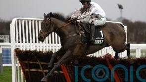 &lsquo;Electric&rsquo; Constitution Hill ready to light up Newcastle