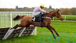 Luccia impresses with Listed verdict on hurdles debut