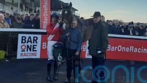 Grangeclare West looks smart on jumping bow at Navan