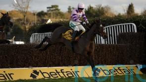 Nicholls sweet on Greaneteen&rsquo;s Tingle Creek chance