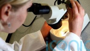 Early-stage Alzheimer's disease could be detected in urine molecule, says new study