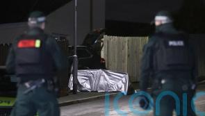 Politicians condemn 'very brutal' car shooting in Northern Ireland