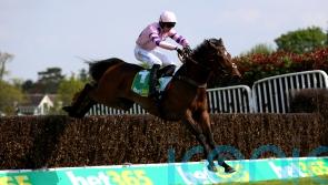 Greaneteen ready for Tingle Creek defence against Shishkin and company