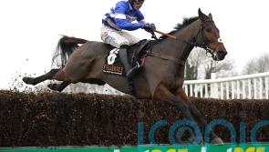 Pic perfect for Nicholls at Huntingdon