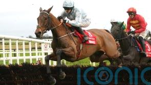 Irish Champion Hurdle date remains on Honeysuckle agenda