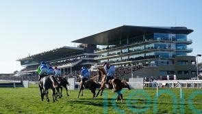 Cheltenham call precautionary inspection for Friday
