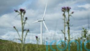 Varadkar: Electricity supply will be &lsquo;quite tight&rsquo; for next two weeks