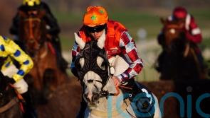 Oskar takes a starring role at Cheltenham