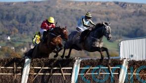 Milton Harris has high hopes for Scriptwriter