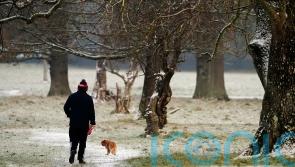 More flights cancelled as cold snap causes disruption across island of Ireland