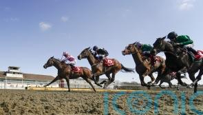 No jumps racing on Monday as cold snap continues