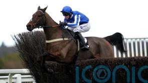 Ben Pauling eyes Kempton for Your Darling