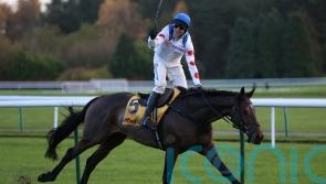 Cotswold Chase confirmed as next target for Protektorat