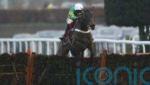 Epatante set to meet Constitution Hill again at Christmas