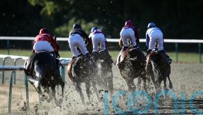 Lingfield announce precautionary inspection for Saturday meeting