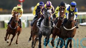 Lingfield falls to the freeze after second inspection