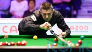 Mark Selby to face Luca Brecel in English Open final